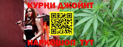 СК Тула