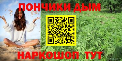 СК Тула