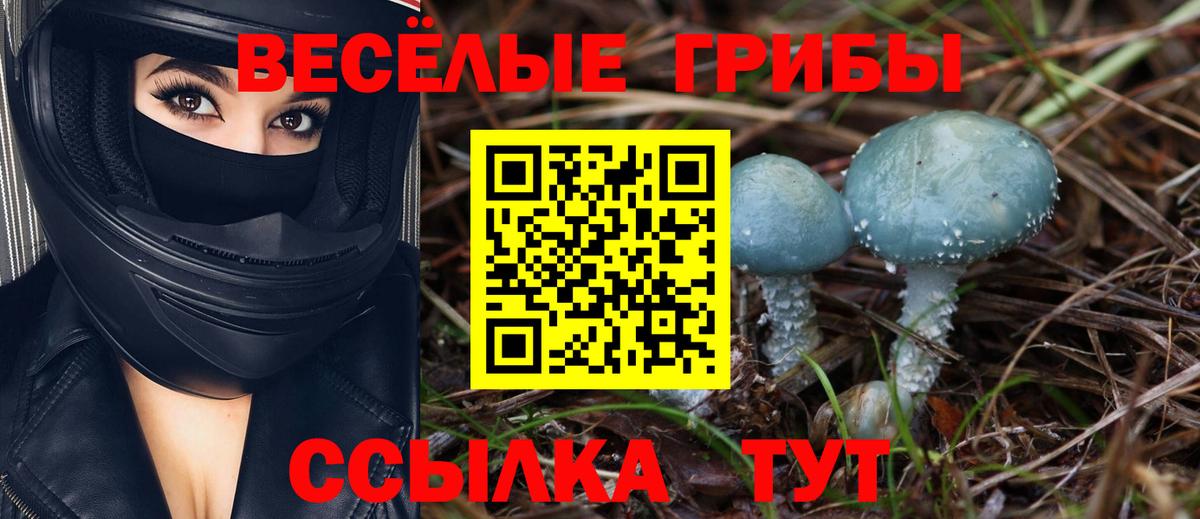 Нижнеудинск  Галлюциногенные грибы Psilocybe  как найти закладки  Вход с VPN  Псилоцибиновые грибы GOLDEN TEACHER 